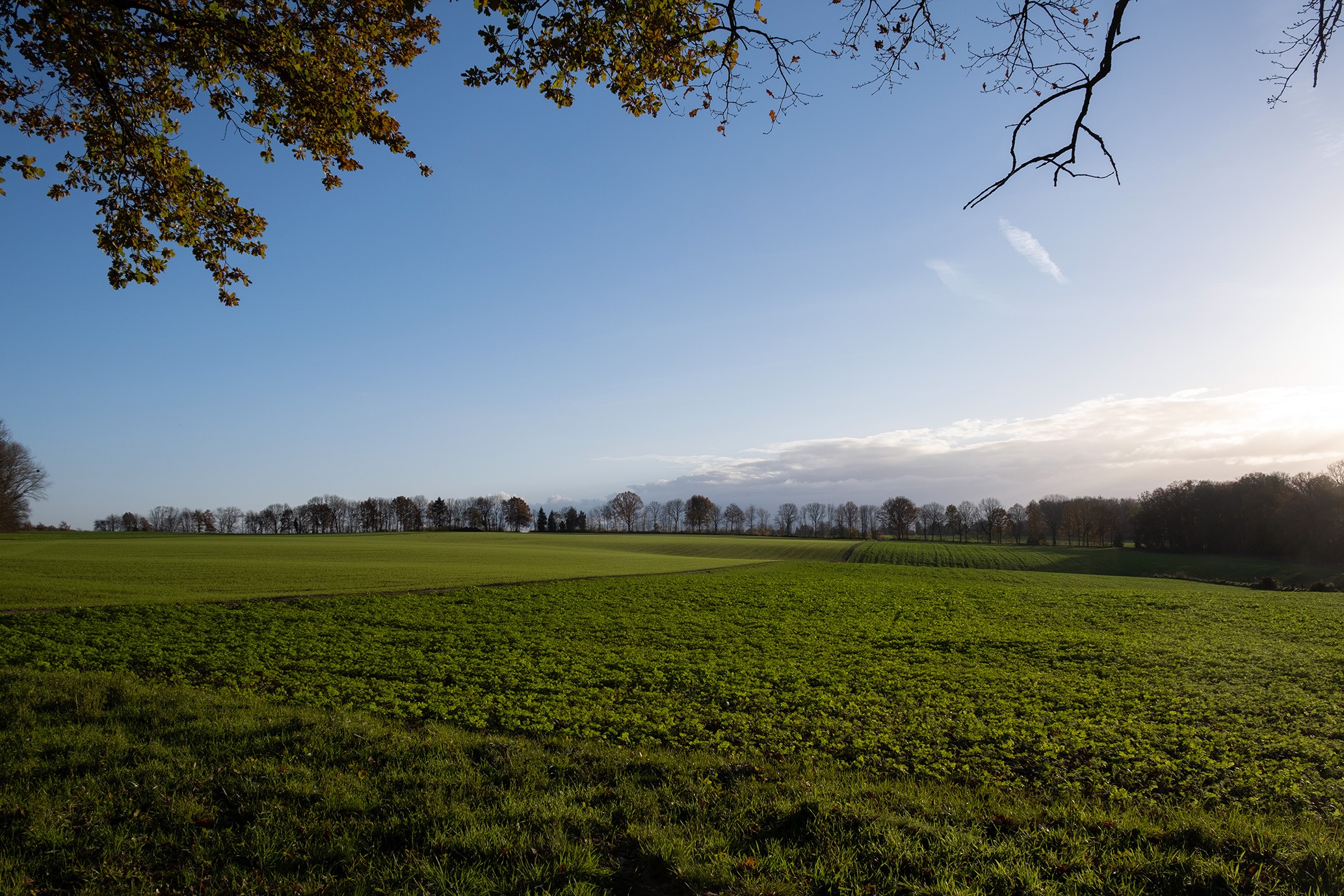 Terre agricole en Wallonie.